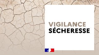Sécheresse 2023.jpg