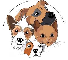 Chats et chiens errants.jpeg