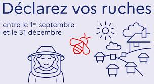 Apiculture Déclaration de ruches 2025.jpeg