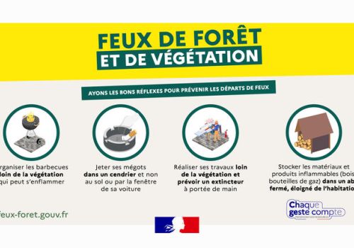 Feux de forêt.jpg